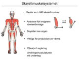Förhandsvisning (thumbnail) från videon 2 MÃ¤nniskokroppen en Ã¶versikt del 2 (2)