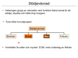 Förhandsvisning (thumbnail) från videon 2 MÃ¤nniskokroppen en Ã¶versikt del 2 (6)