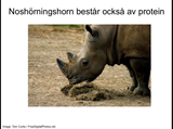 Förhandsvisning (thumbnail) från videon Proteiner