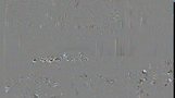 Förhandsvisning (thumbnail) från videon Välkomstprogram för recentiorer, 2010
