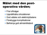 Förhandsvisning (thumbnail) från videon Postoperativ omvårdnad - för sjuksköterskor