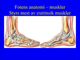 Förhandsvisning (thumbnail) från videon Fotkirurgi, del 1