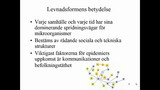 Förhandsvisning (thumbnail) från videon Den Microbiella världen SSK