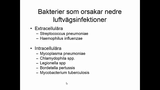 Förhandsvisning (thumbnail) från videon Mykoplasma chlamydiophila och legionella SSK
