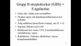 Förhandsvisning (thumbnail) från videon Streptokocker och andra extracellulära luftvägsbakterier Del 2 SSK