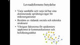 Förhandsvisning (thumbnail) från videon Den Mikrobiella Världen Del 1