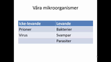 Förhandsvisning (thumbnail) från videon Grundläggande Mikrobiologi Del 1
