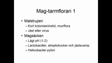Förhandsvisning (thumbnail) från videon Normalflora Del 2