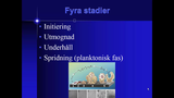 Förhandsvisning (thumbnail) från videon Främmandekroppsinfektioner Del 2 SSK
