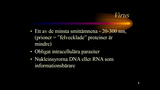 Förhandsvisning (thumbnail) från videon Grundläggande virologi Del 1 SSK