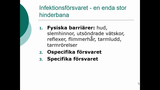 Förhandsvisning (thumbnail) från videon Infektionsimmunologi Del 1 SSK