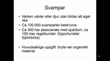 Förhandsvisning (thumbnail) från videon Mykologi Del 1 SSK