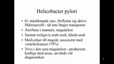 Förhandsvisning (thumbnail) från videon Del 2 Bakterier som orsakar matförgiftning och infektioner i mag/tarmkanalen SSK