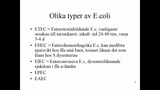 Förhandsvisning (thumbnail) från videon Del 3 Bakterier som orsakar matförgiftning och infektioner i mag/tarmkanalen SSK
