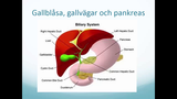 Förhandsvisning (thumbnail) från videon Övre gastrointestinal kirurgi Del 4