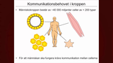 Förhandsvisning (thumbnail) från videon Det endokrina systemet Del 1