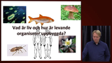 Förhandsvisning (thumbnail) från videon Grundläggande biokemi 25/11