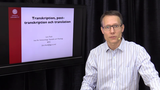 Förhandsvisning (thumbnail) från videon Transkription, post-transkription och translation