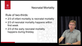 Förhandsvisning (thumbnail) från videon Neonatal Morality-eng