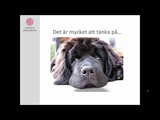 Förhandsvisning (thumbnail) från videon Tomas Persson: Didaktiskt transformation Del 2