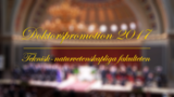 Förhandsvisning (thumbnail) från videon Doktorspromotion 24 maj 2017 - Teknisk-naturvetenskapliga fakulteten