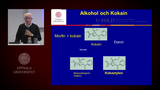 Förhandsvisning (thumbnail) från videon Alkohol, psykisk ohälsa och livshotande drogkombinationer