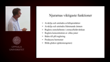 Förhandsvisning (thumbnail) från videon Njurarnas fysiologi och patofysiologi, del1