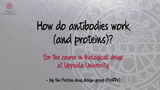 Förhandsvisning (thumbnail) från videon How do antibodies work (and proteins)?