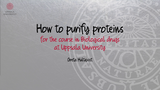 Förhandsvisning (thumbnail) från videon How to purify protein