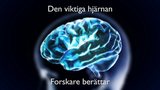 Förhandsvisning (thumbnail) från videon Den viktiga hjärnan  tre Uppsalaforskare berättar