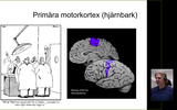 Förhandsvisning (thumbnail) från videon 2. Primära motorkortex