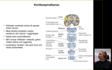 Förhandsvisning (thumbnail) från videon 3. Kortex och direkta bansystem