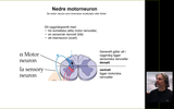 Förhandsvisning (thumbnail) från videon 8. Introduktion nedre motorneuron