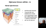 Förhandsvisning (thumbnail) från videon 1. Hinnor