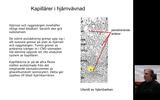 Förhandsvisning (thumbnail) från videon 3.  BBB och vener